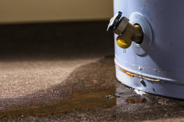 Best 24/7 water damage repair  in Indian Head Park, IL