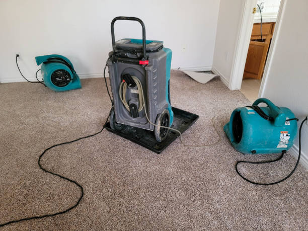  Indian Head Park, IL Water damage restoration Pros