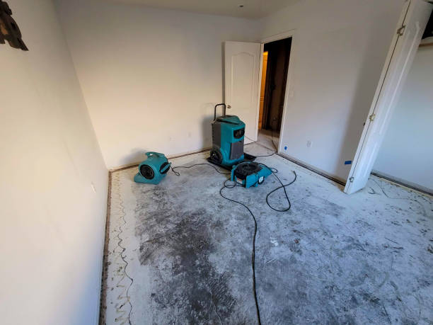 Best Residential water damage restoration  in Indian Head Park, IL