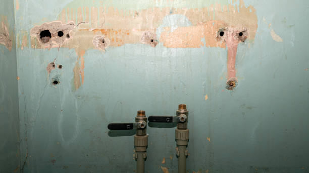 Best Flood restoration services  in Indian Head Park, IL