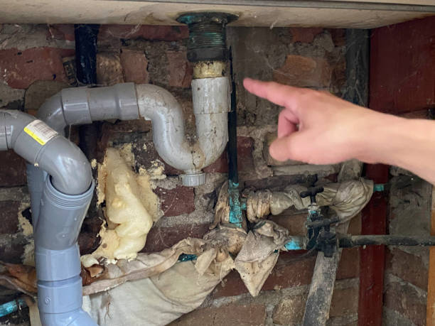 Best Sewage cleanup and water damage restoration  in Indian Head Park, IL