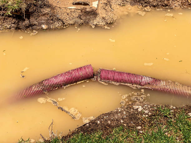 Best Basement water damage restoration  in Indian Head Park, IL
